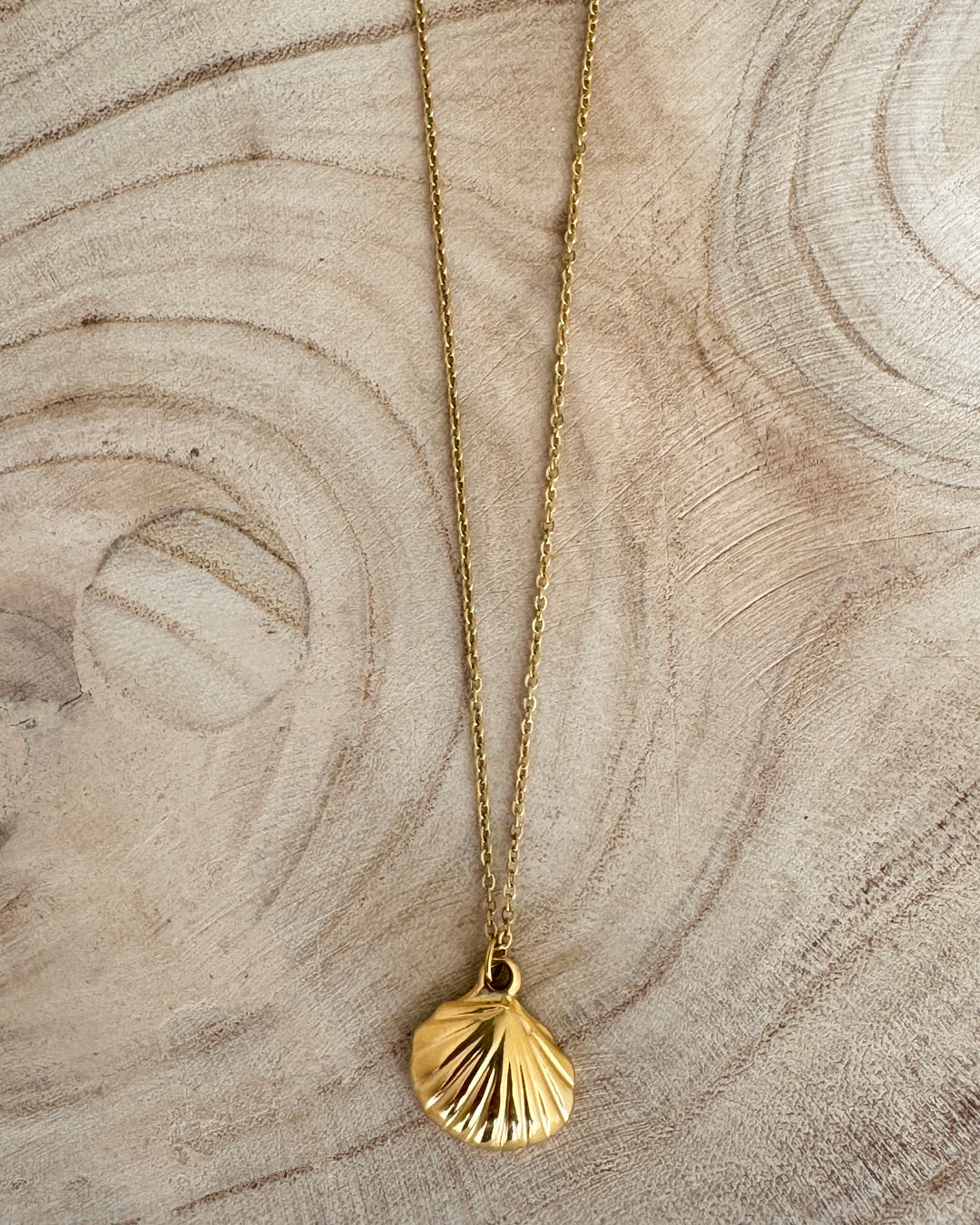 The Scallop Shell Necklace