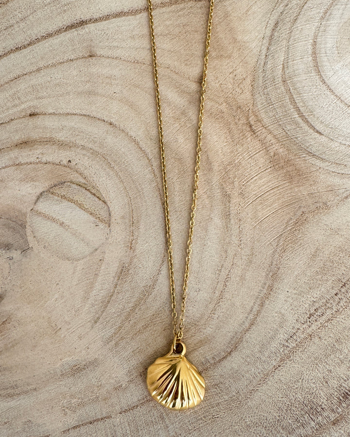 The Scallop Shell Necklace