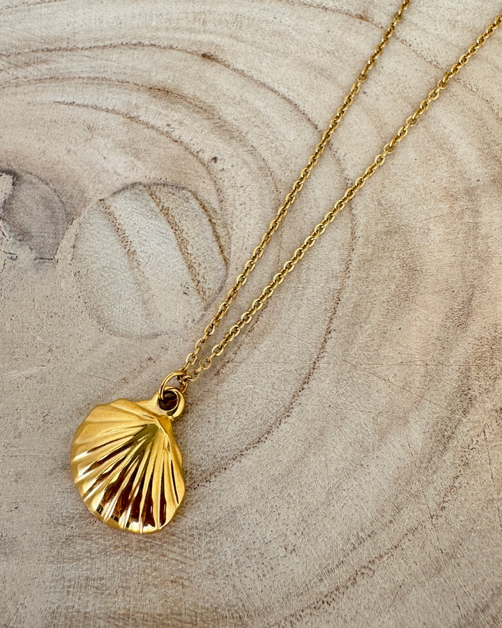 The Scallop Shell Necklace