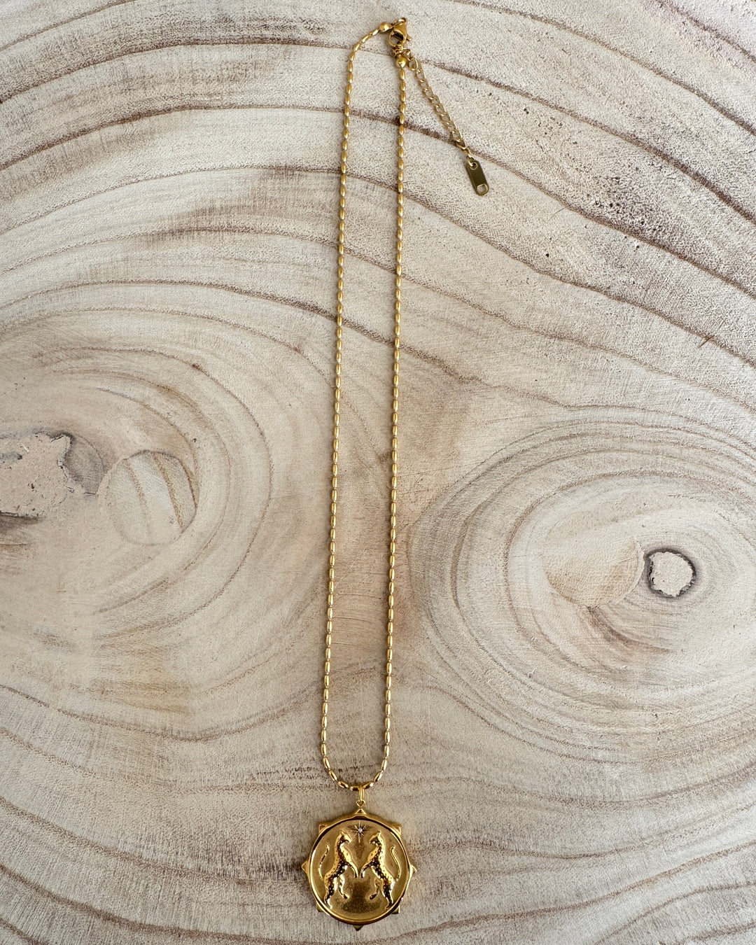 The Wild Spirit Necklace