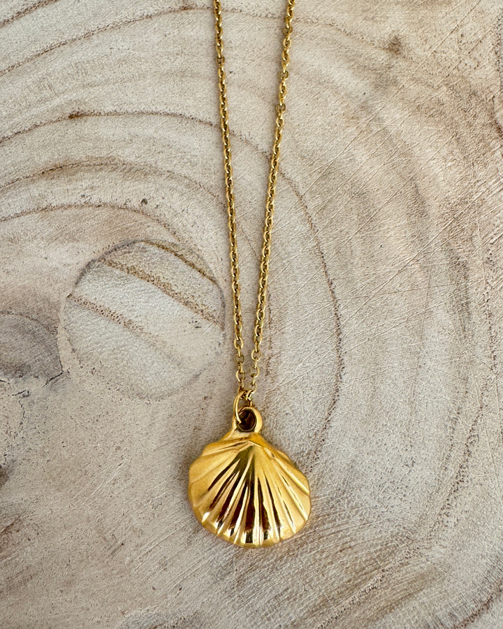 The Scallop Shell Necklace