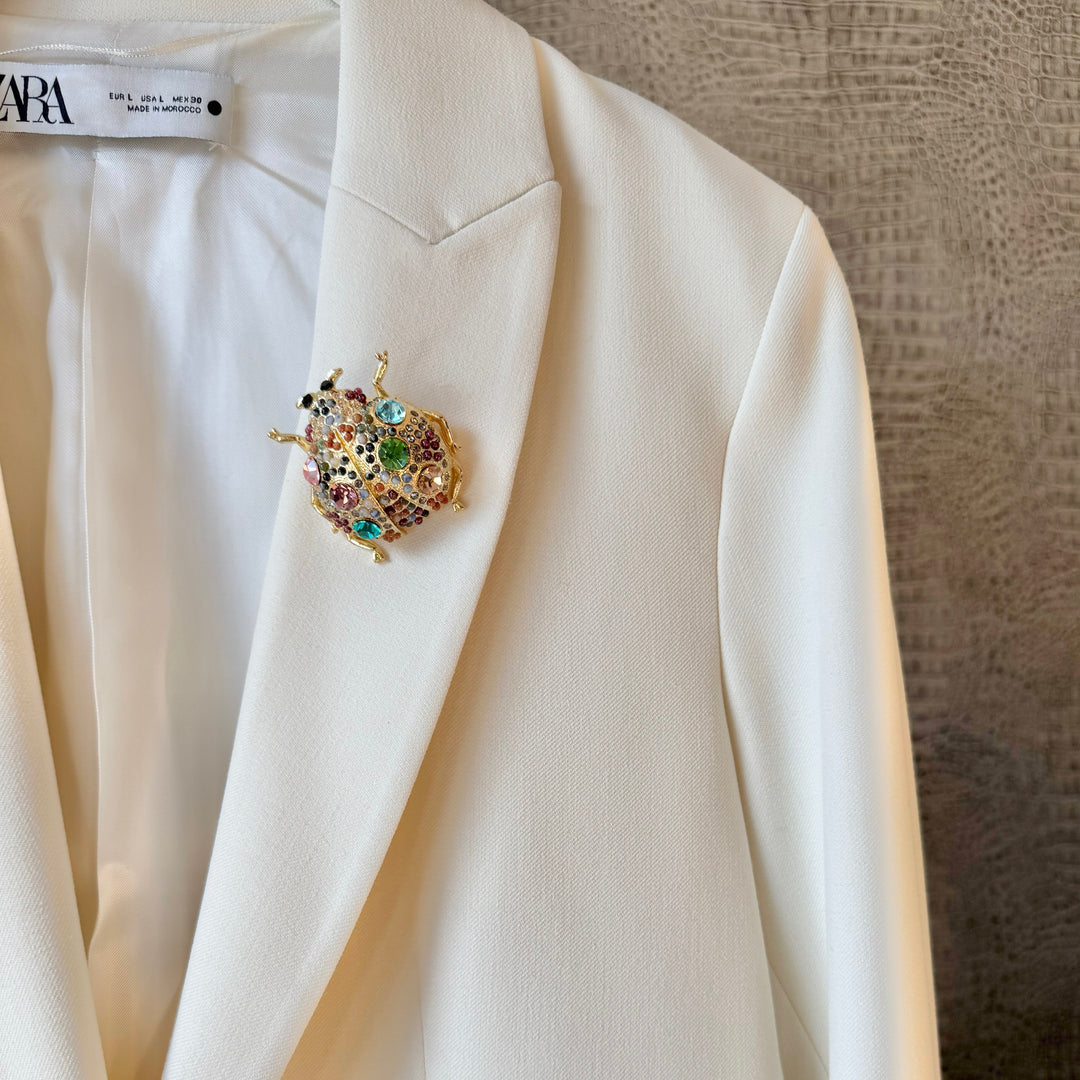 The Giant Ladybird Brooch