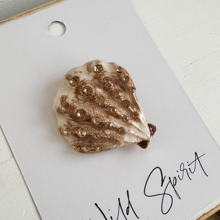 Blush Scallop Shell Brooch