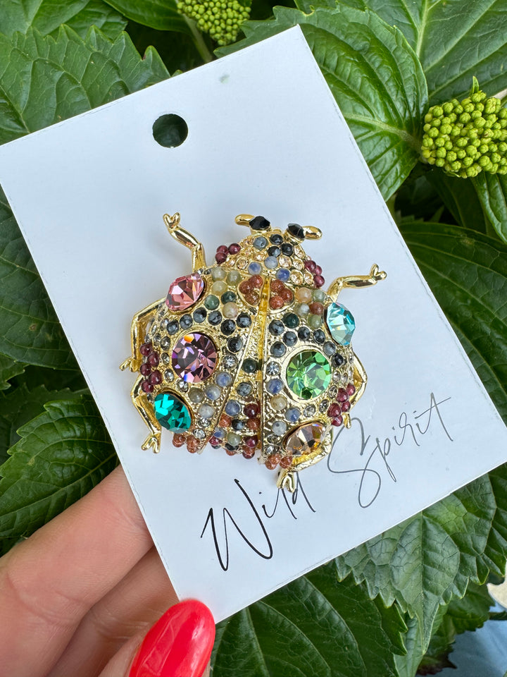 The Giant Ladybird Brooch