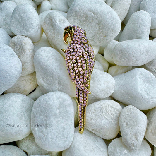 Baby Pink Parrot Brooch