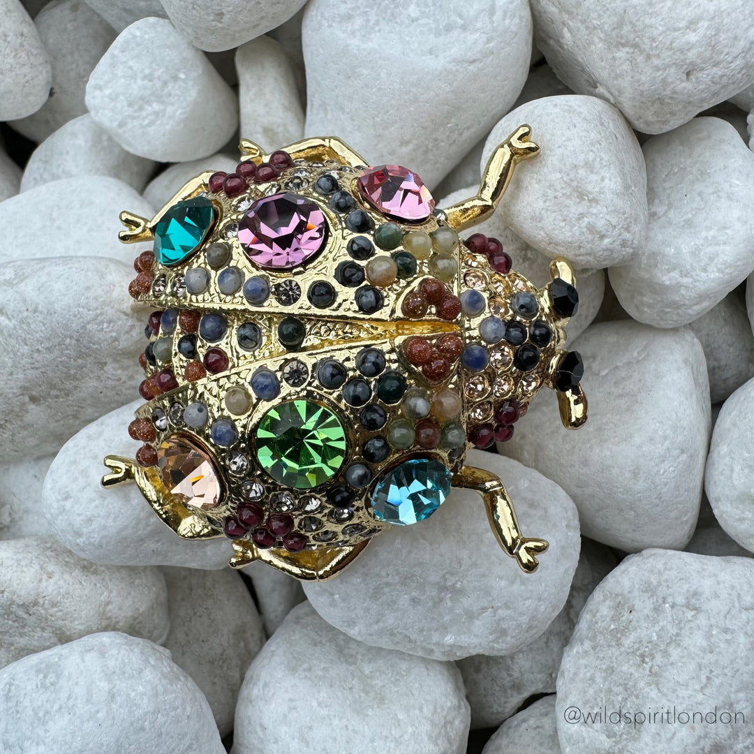 The Giant Ladybird Brooch