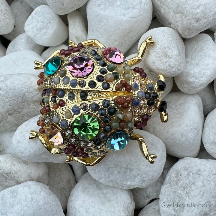 The Giant Ladybird Brooch
