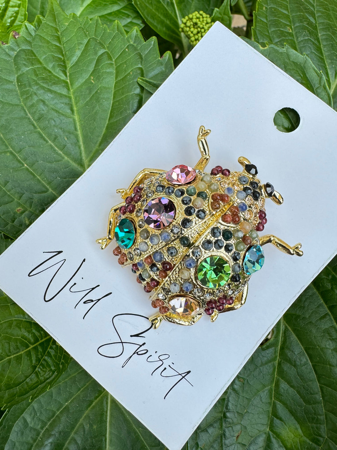 The Giant Ladybird Brooch