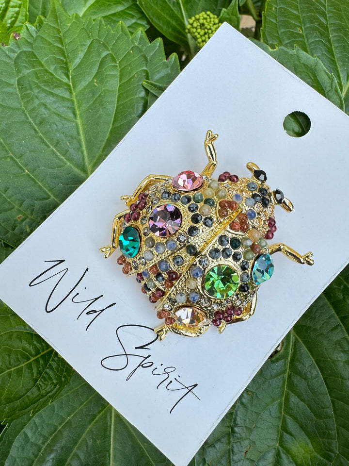 The Giant Ladybird Brooch