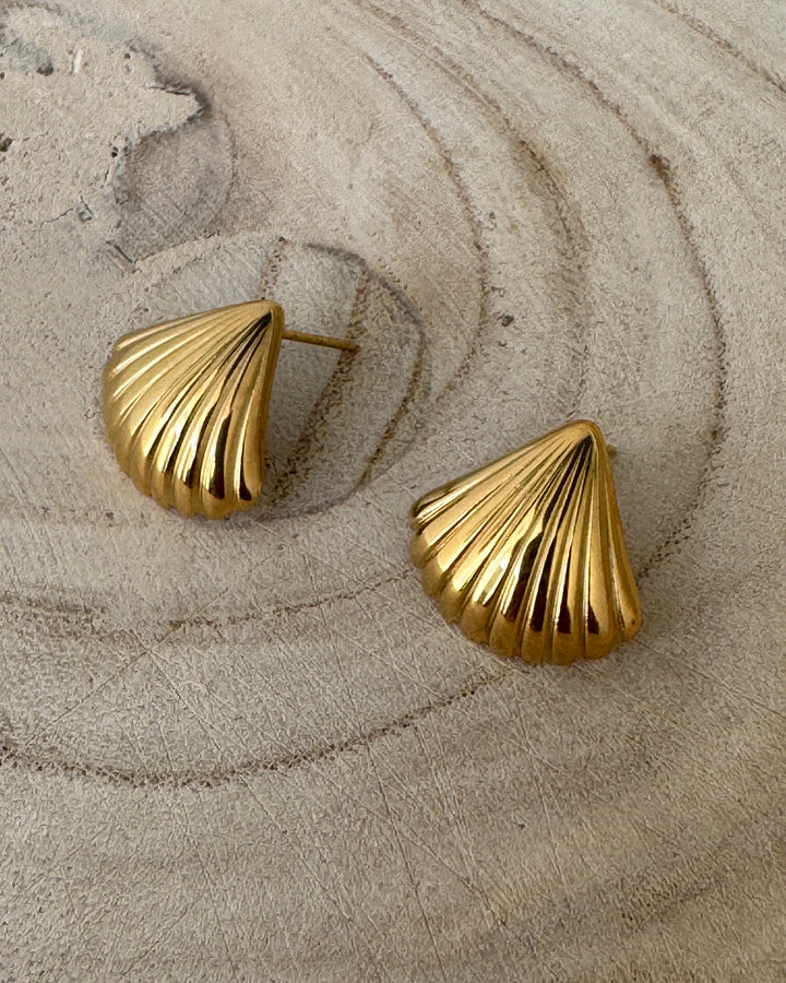 The Gold Scallop Shell Earrings