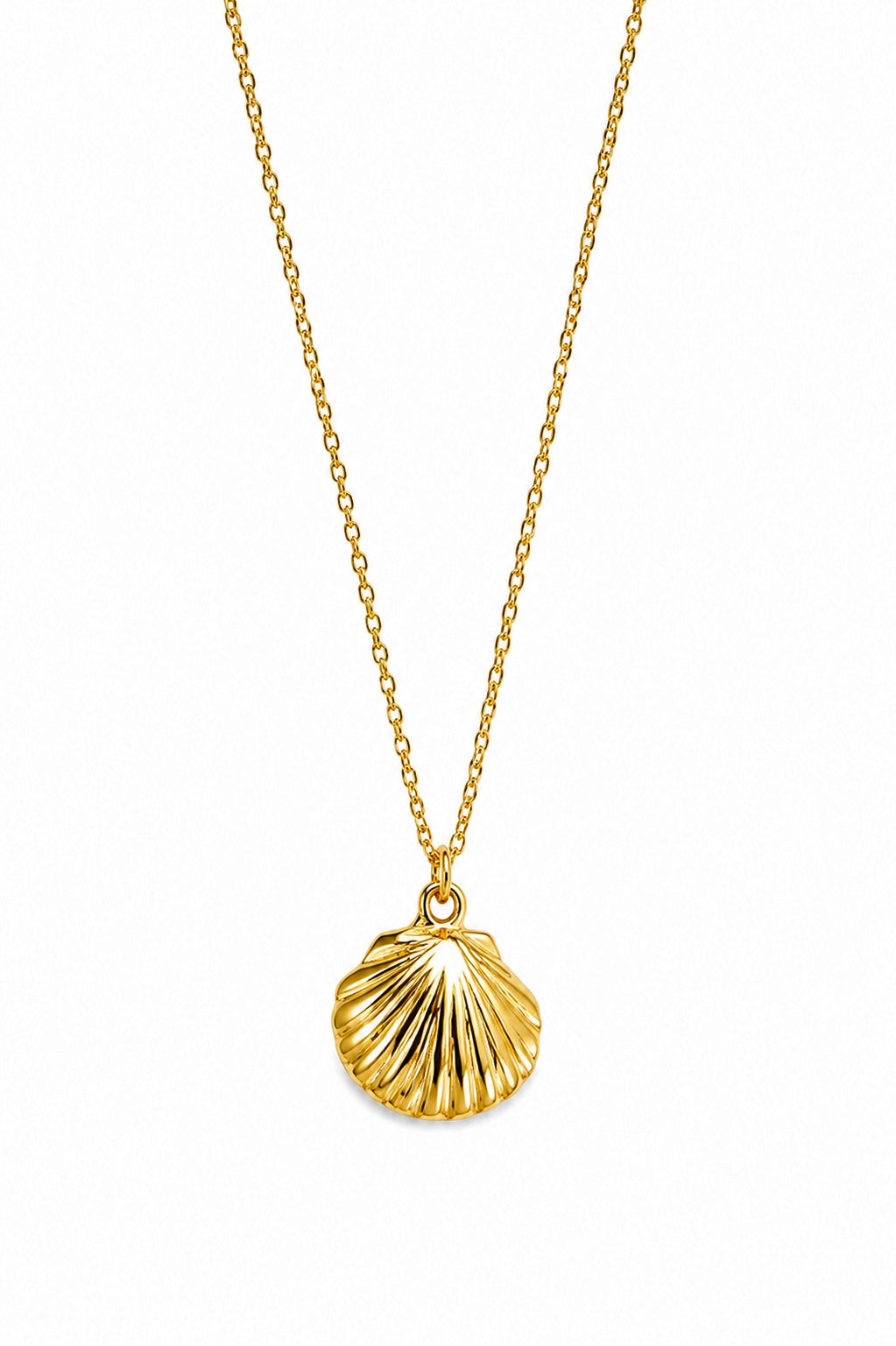 Gold Scallop Shell Necklace