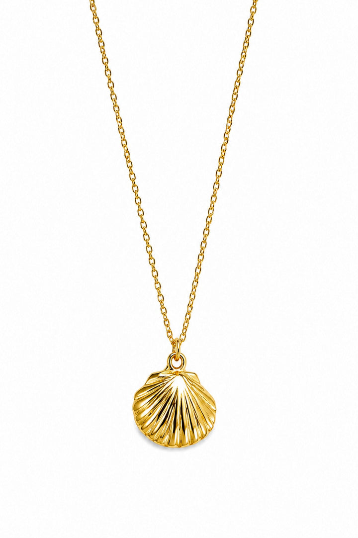 Gold Scallop Shell Necklace