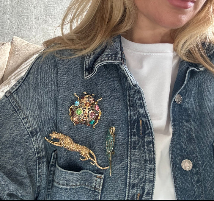 The Giant Ladybird Brooch