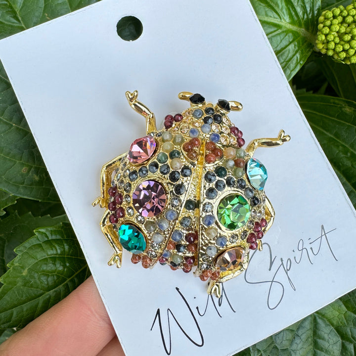 The Giant Ladybird Brooch